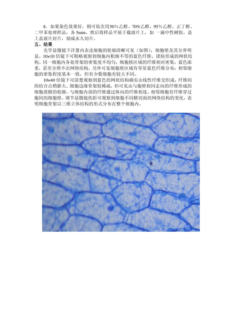 试验四细胞骨架观察_第2页