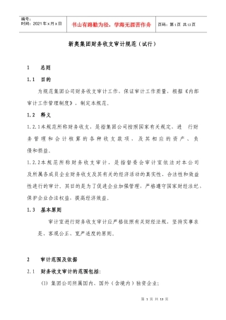 新奥集团财务收支审计规范（试行）
