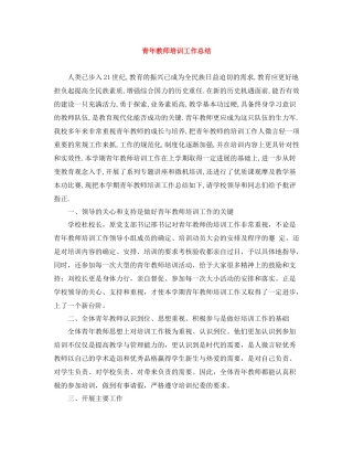 青年教师培训工作总结