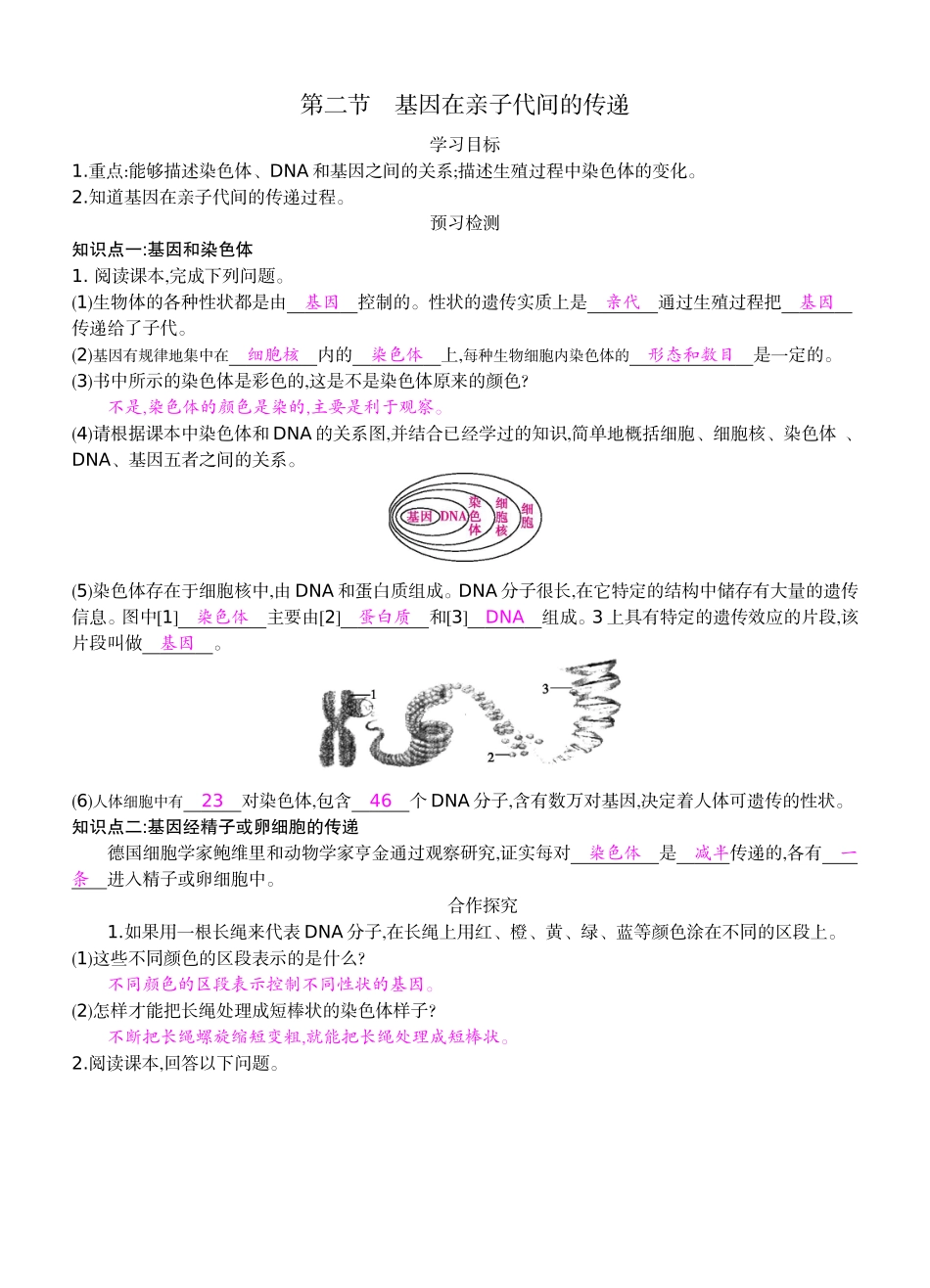 八年级下22《基因在亲子代间的传递》导学案_第1页