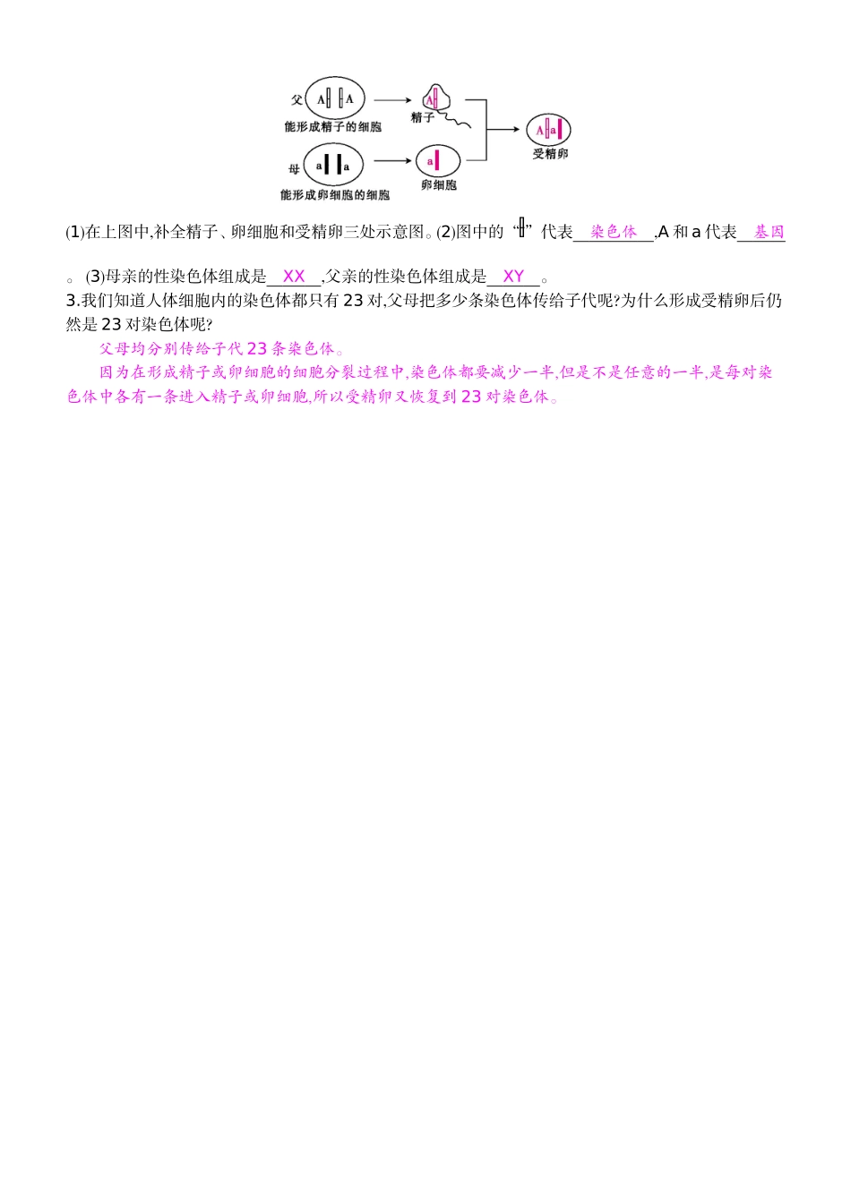 八年级下22《基因在亲子代间的传递》导学案_第2页