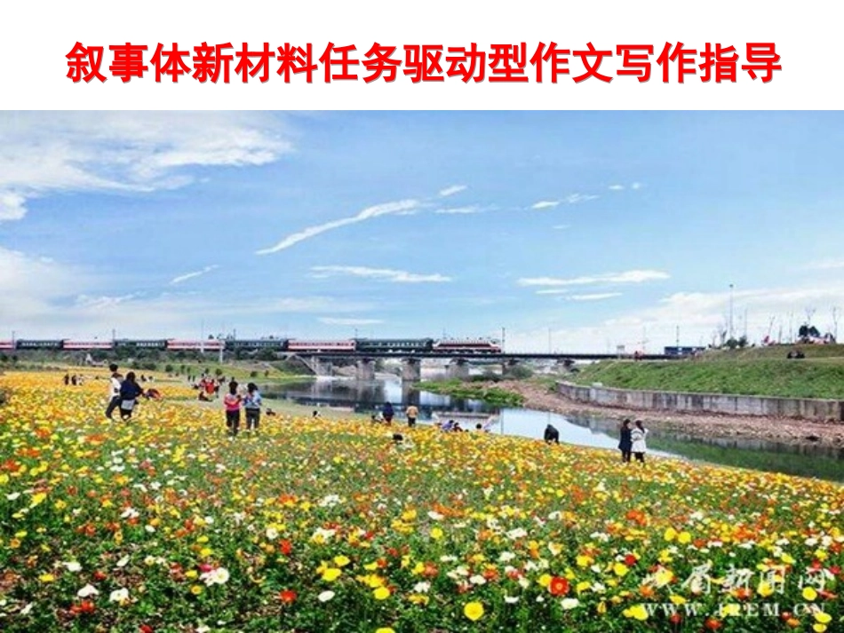 任务驱动型材料作文写作指导_第1页