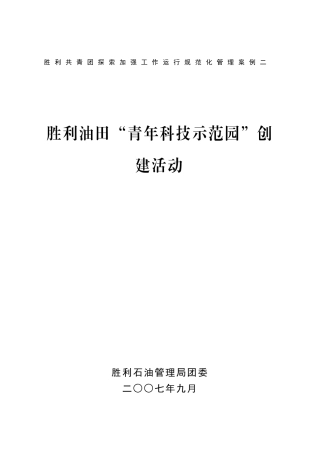 胜利共青团探索加强工作运行规范化管理案例二…………胜利油田“青年