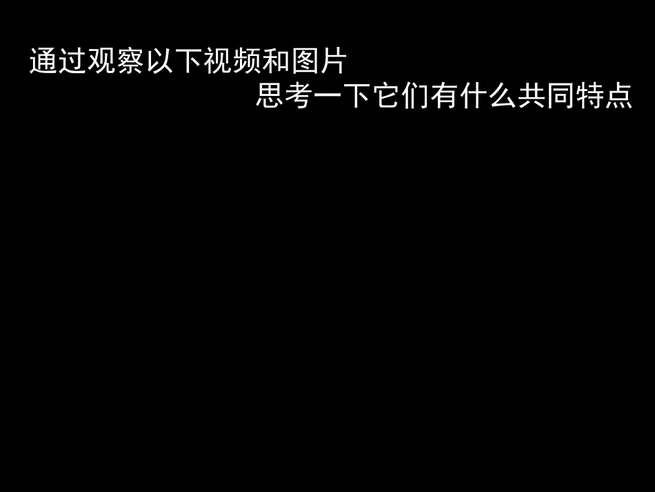 黑白世界课件_第1页