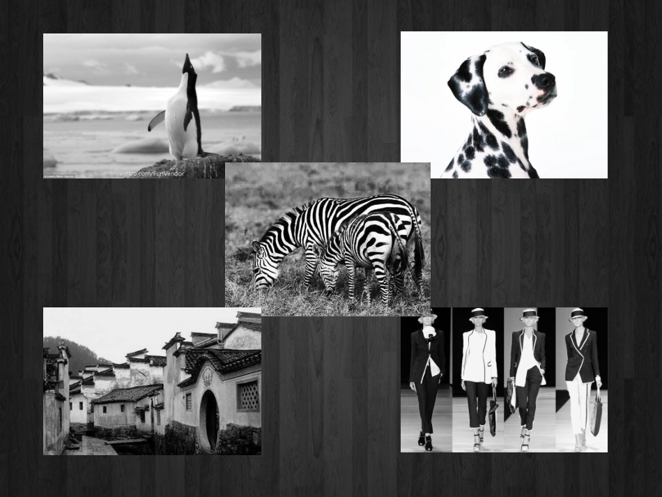 黑白世界课件_第2页