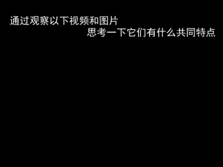 黑白世界课件