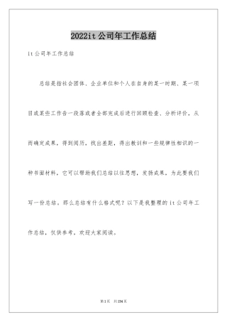 2024it公司年工作总结