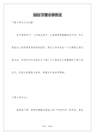 2024下雪小学作文_4