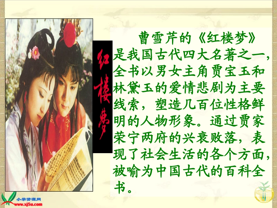 《凤辣子初见林黛玉》课件_第2页