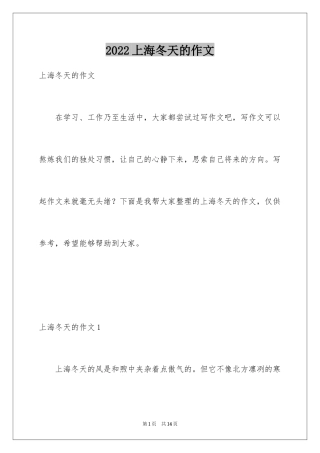2024上海冬天的作文