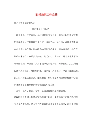 驻村挂职工作总结