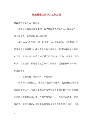 财政稽查大队个人工作总结