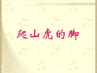 四年级上语文课件-爬山虎的脚-人教新课标
