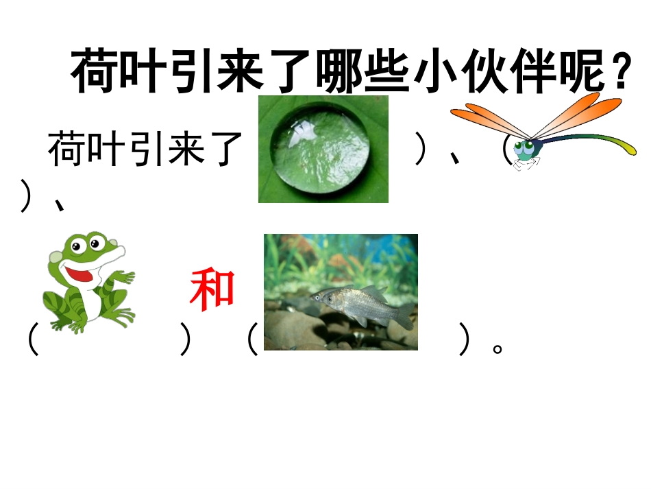 周莹莹荷叶圆圆_第2页