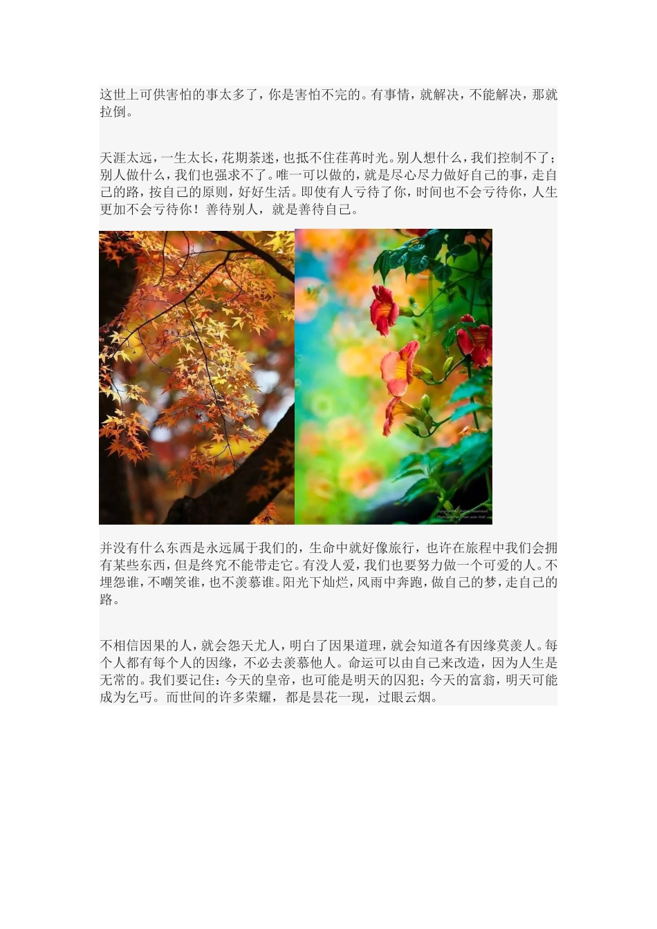 人生百味情最浓_第2页