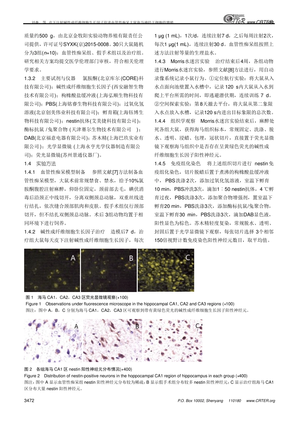皮下注射碱性成纤维细胞生长因子促进血管性痴呆大鼠海马神经干细胞的增殖_第3页