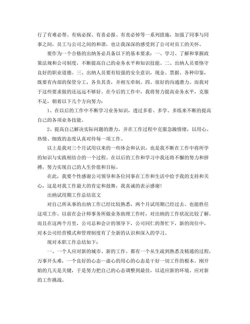 出纳试用期转正总结报告_第2页