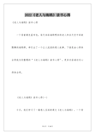 2024《老人与海鸥》读书心得