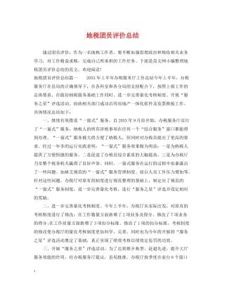 地税团员评价总结