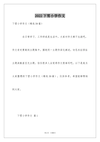 2024下雪小学作文_5