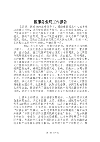 区服务业局工作报告