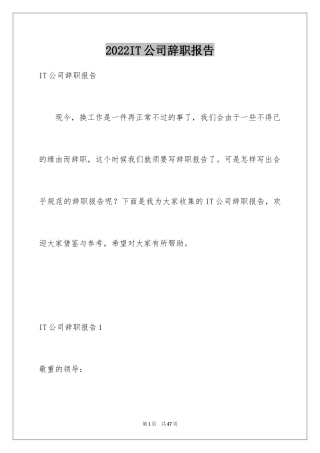 2024IT公司辞职报告_2