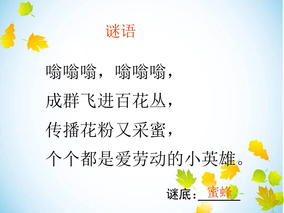 人教版小学二年级下册26课《蜜蜂引路》_第1页