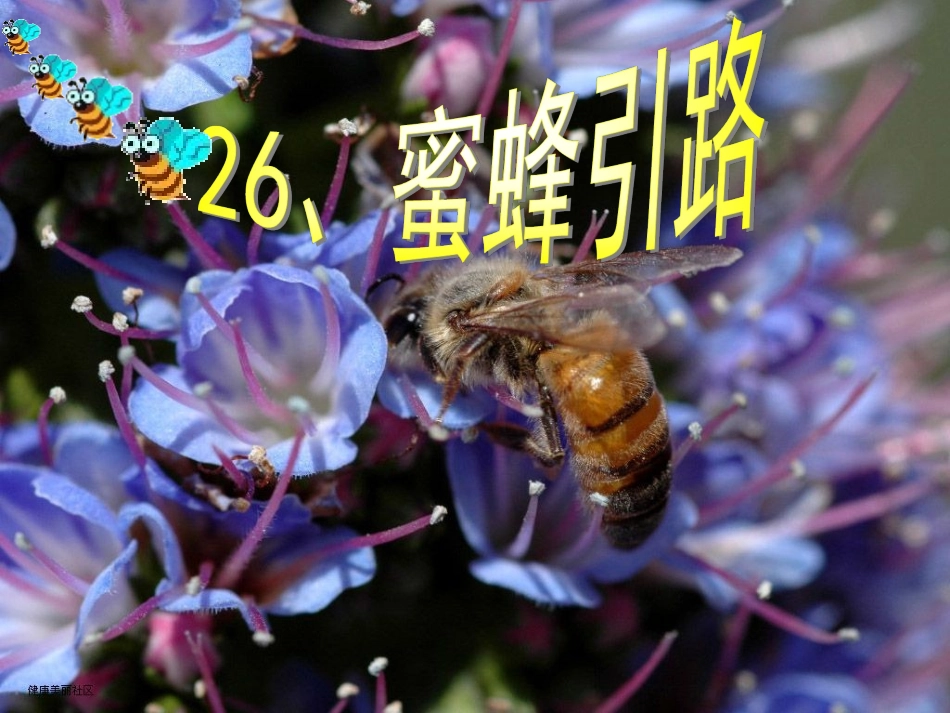 人教版小学二年级下册26课《蜜蜂引路》_第2页