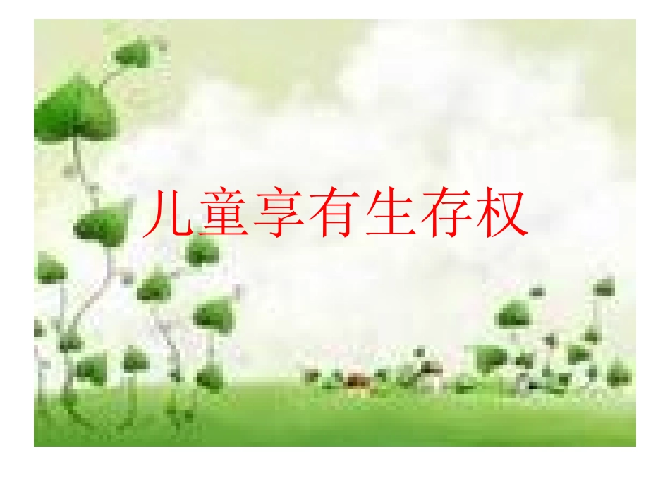 法制教育课件_第1页