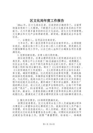 区文化局年度工作报告