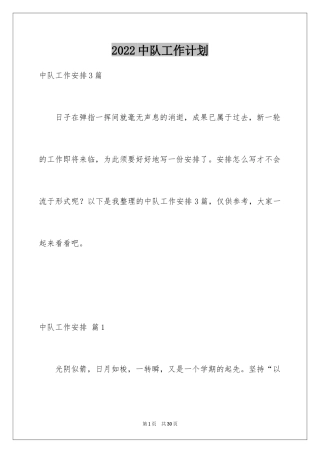 2024中队工作计划_5