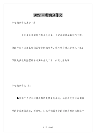 2024中考满分作文_378