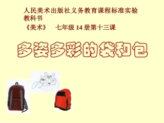 多姿多彩的袋和包