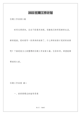 2024任期工作计划