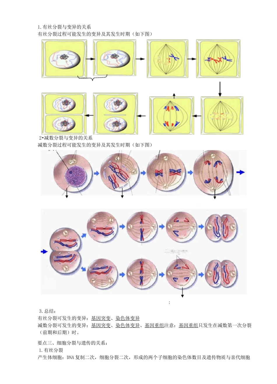 细胞分裂与遗传变异的关系考点与题型归纳_第3页