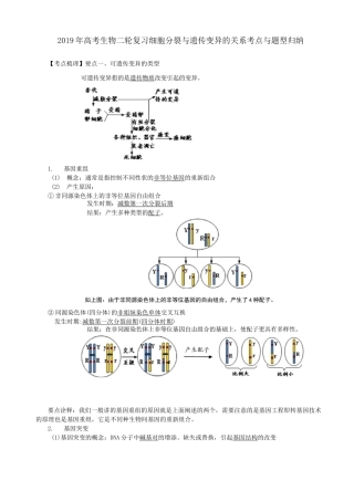 细胞分裂与遗传变异的关系考点与题型归纳