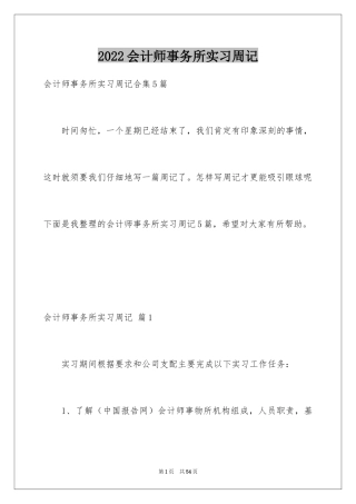 2024会计师事务所实习周记_2