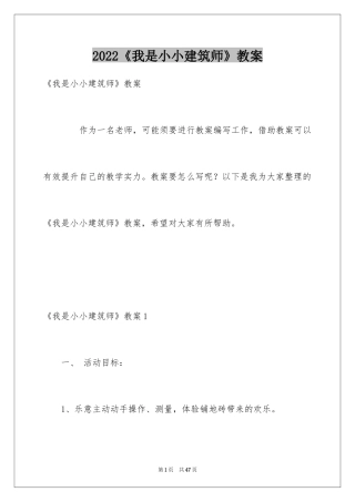 2024《我是小小建筑师》教案