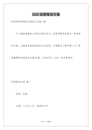 2024促销策划方案_33