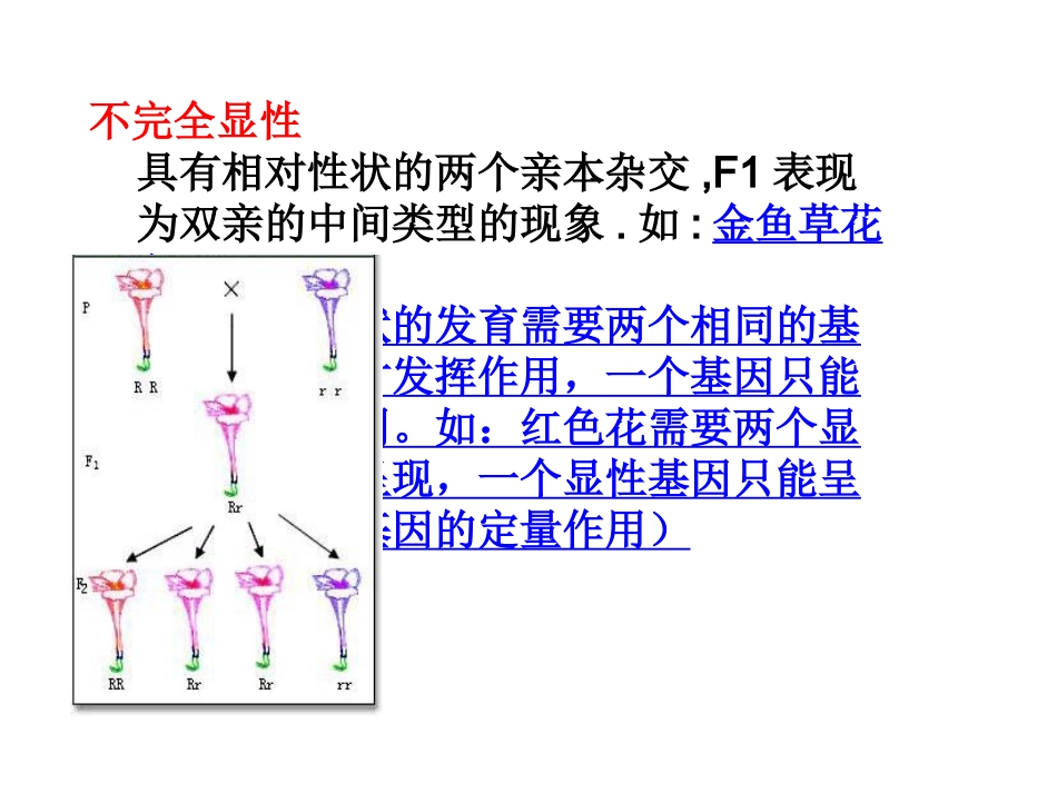显性的相对性_第2页
