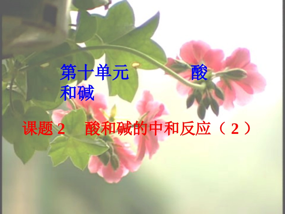 酸和碱的中和反应（）_第1页