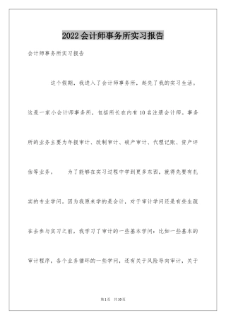 2024会计师事务所实习报告_8