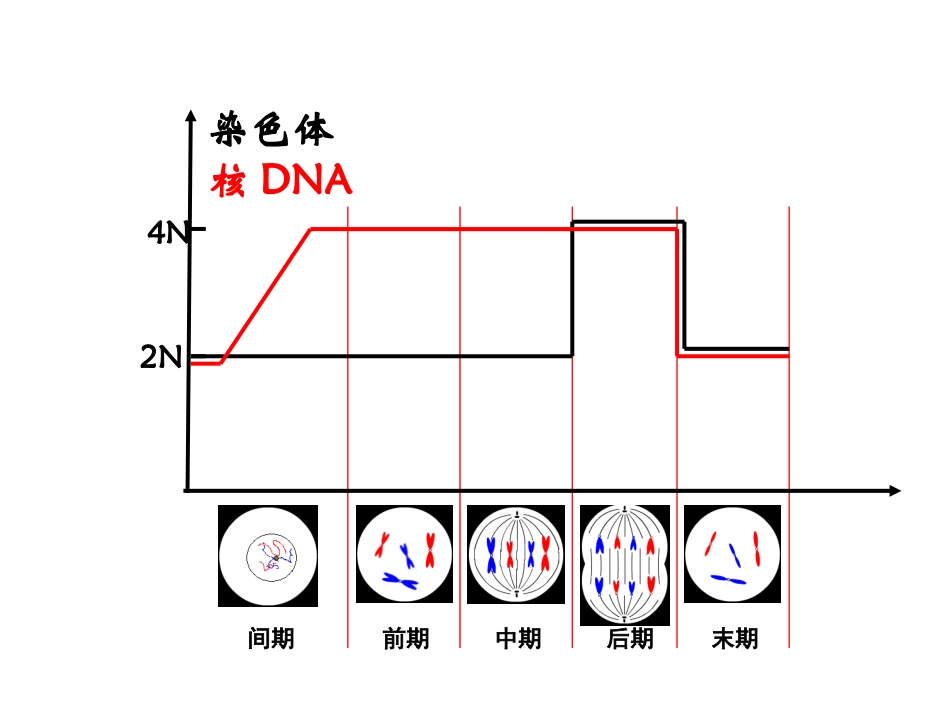 细胞分裂图像识别_第2页
