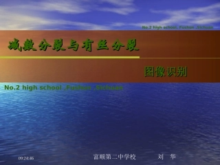 细胞分裂图像识别