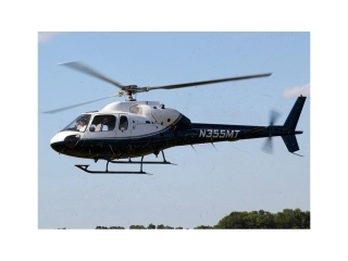 大班美术《蜻蜓》