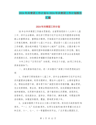 2024年共青团工作计划与2024年共青团工作计划报告汇编