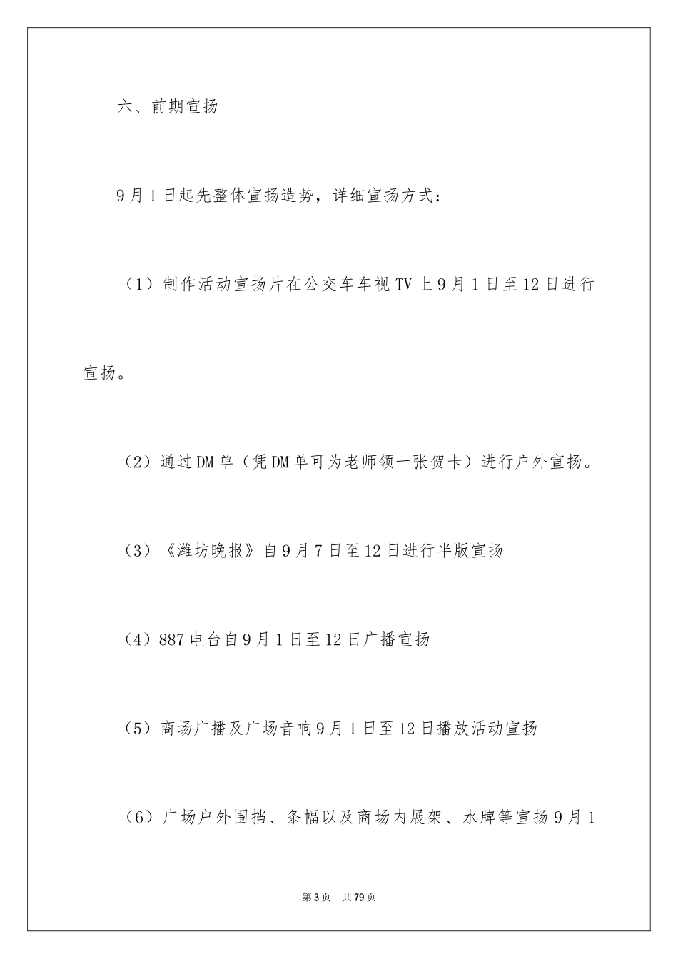 2024促销活动策划_100_第3页