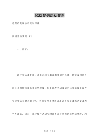 2024促销活动策划_20