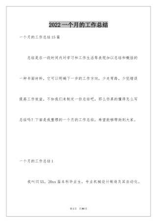 2024一个月的工作总结