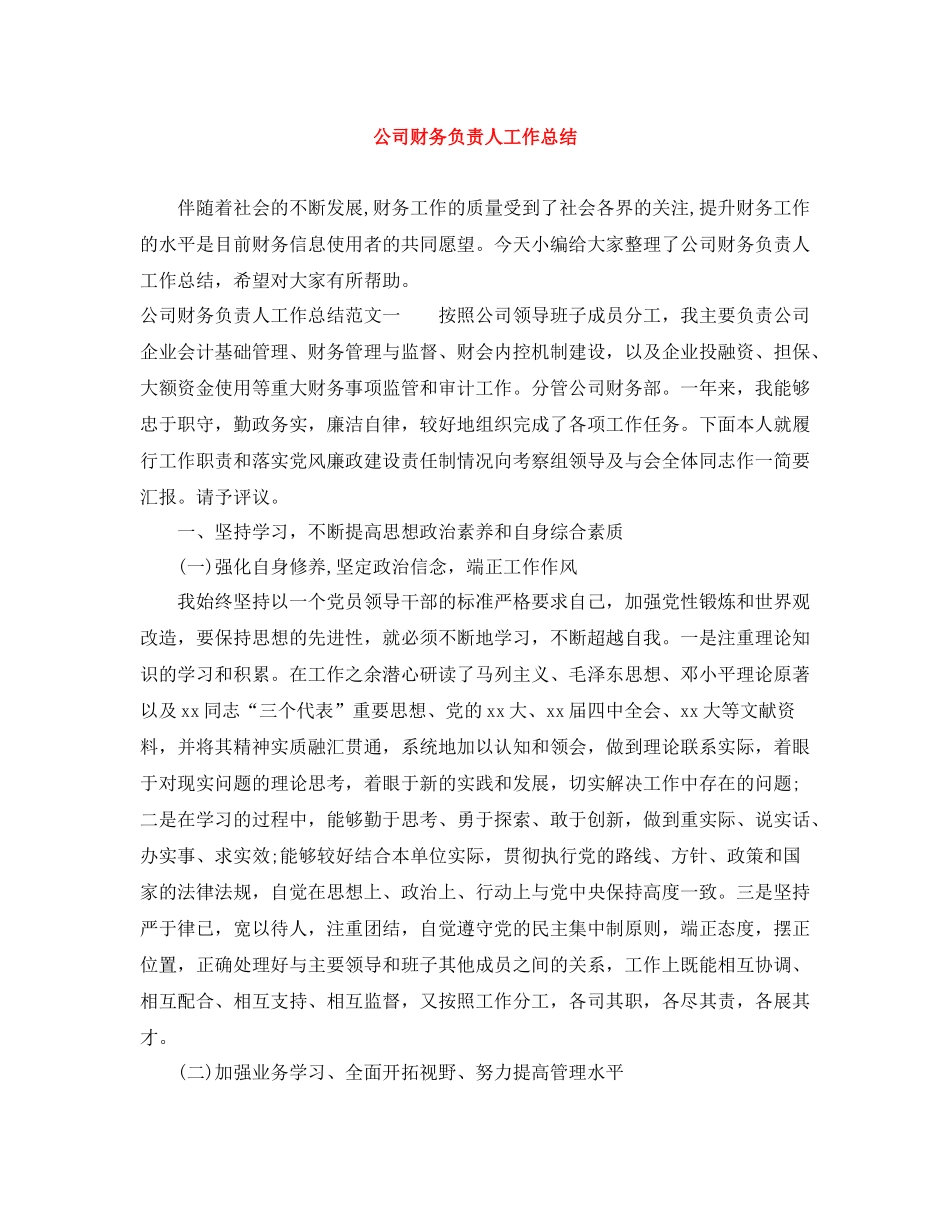 公司财务负责人工作总结_第1页